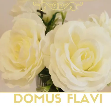Domus Flavi 公寓
